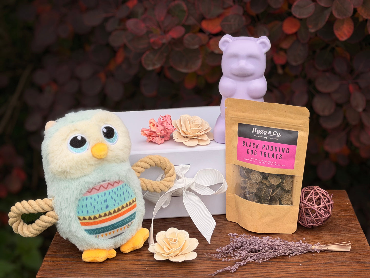 Dog Toy and Treat Gift Set