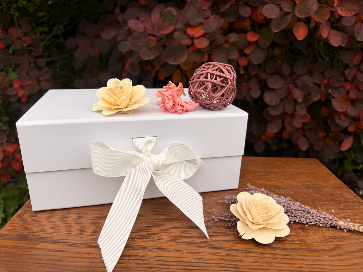 Dog Toy and Treat Gift Set