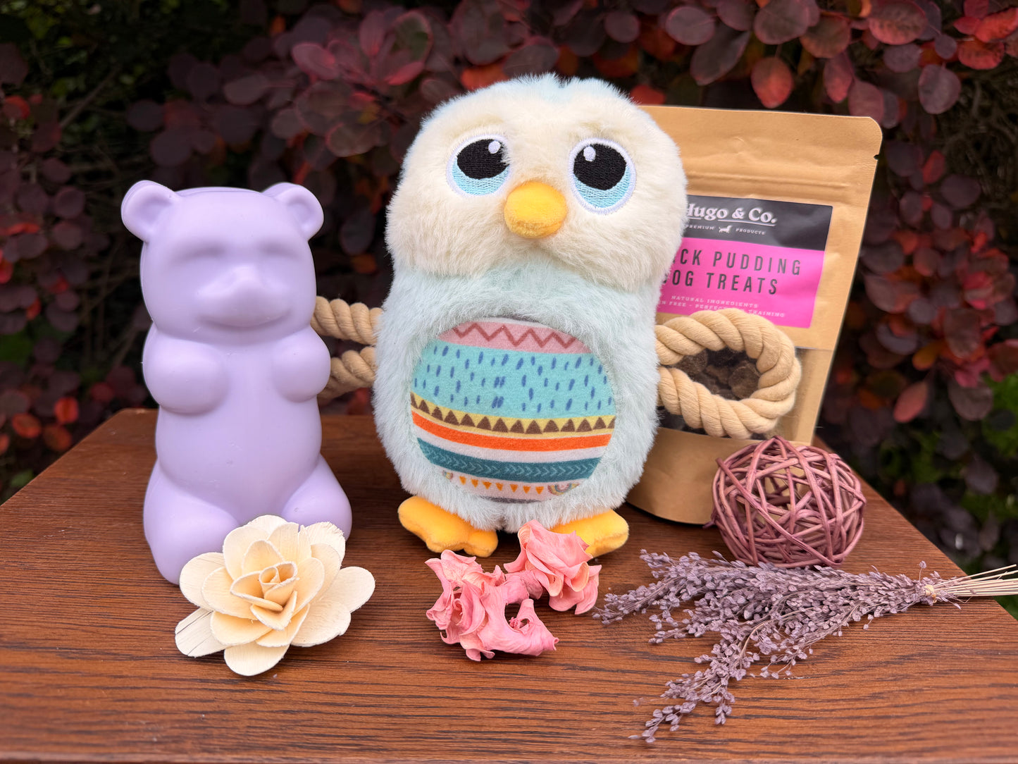 Dog Toy and Treat Gift Set
