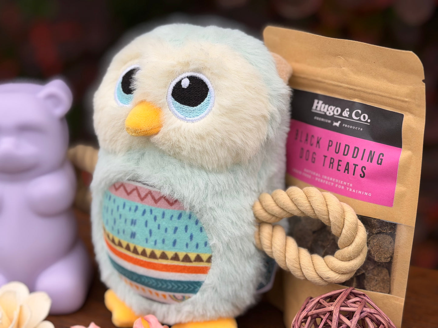 Dog Toy and Treat Gift Set