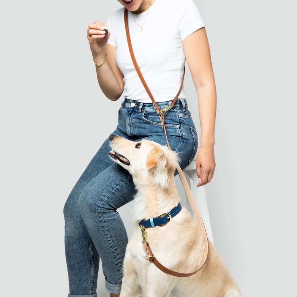 Hands Free Italian Leather Lead