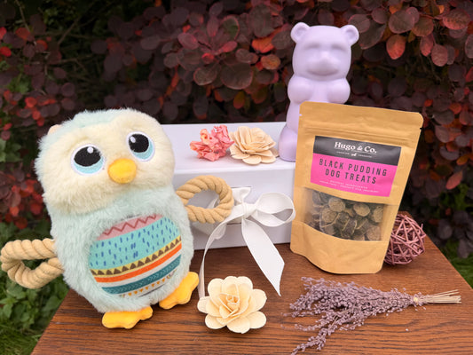 Dog Toy and Treat Gift Set