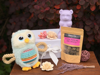 Dog Toy and Treat Gift Set