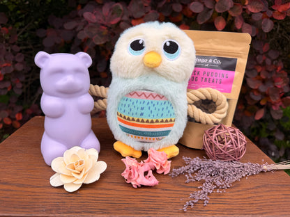 Dog Toy and Treat Gift Set