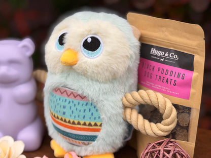 Dog Toy and Treat Gift Set
