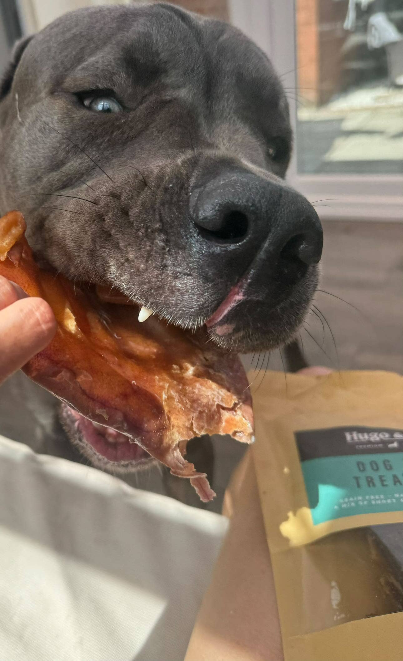 Hugo & Co Dog Treats - Dog Deli Bag - Natural Treats