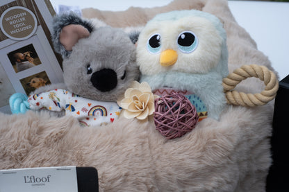 Luxury Puppy / Small - Med Dog Hamper