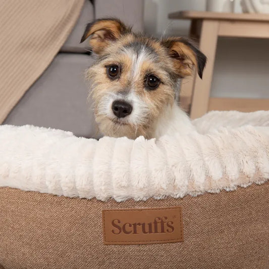 Ellen Medium Tan Donut Bed