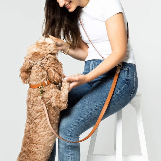 Hands Free Italian Leather Lead