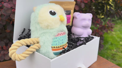 Dog Toy and Treat Gift Set
